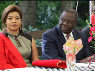 elizabeth tsvangirai biography
