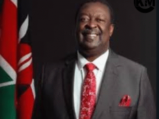 musalia mudavadi biography